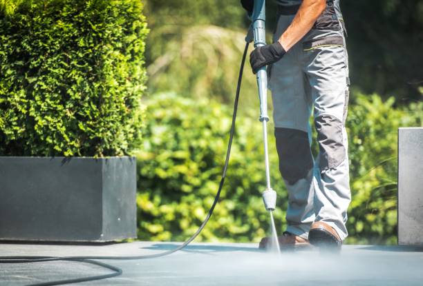 Best Sidewalk and Walkway Cleaning  in Lorane, PA